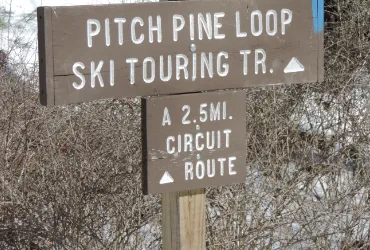 Pitch Pine Loop (Very Easy)