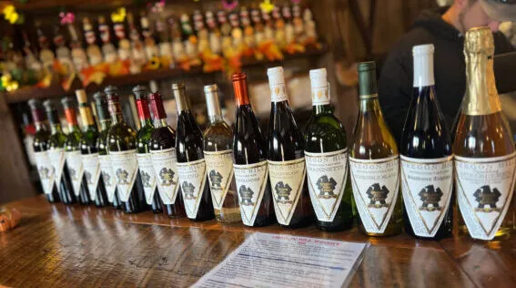 Sweater Weather Sips and Festivals