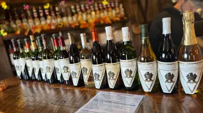 Sweater Weather Sips and Festivals